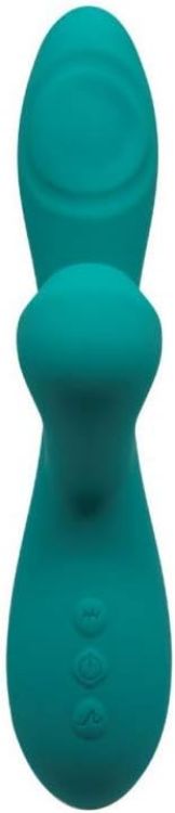 Image de CARIBBEAN SHINE BLUE