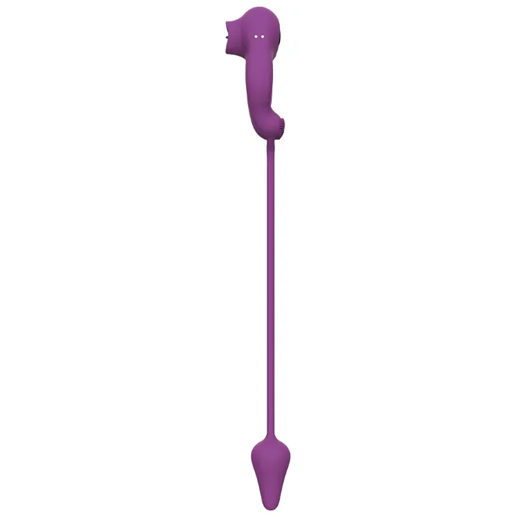 Image de Luka - Purple - Audace